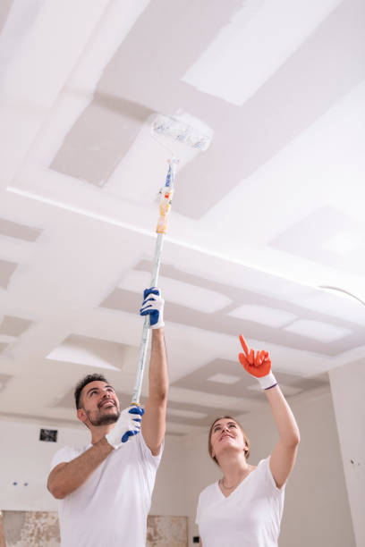 Best Ceiling Drywall Installation  in Abram, TX